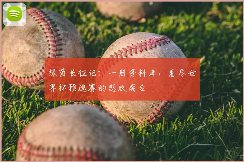 绿茵长征记：一册资料库，看尽世界杯预选赛的悲欢离合