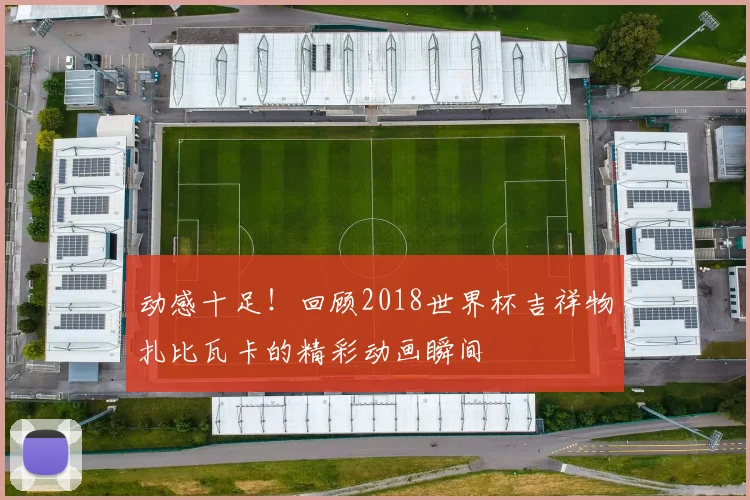 动感十足!回顾2018世界杯吉祥物扎比瓦卡的精彩动画瞬间