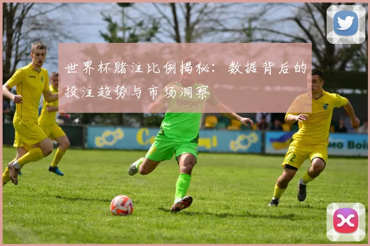 世界杯赌注比例揭秘：数据背后的投注趋势与市场洞察