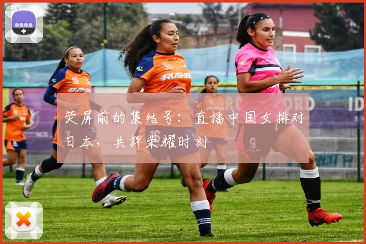 荧屏前的集结号：直播中国女排对日本，共捍荣耀时刻