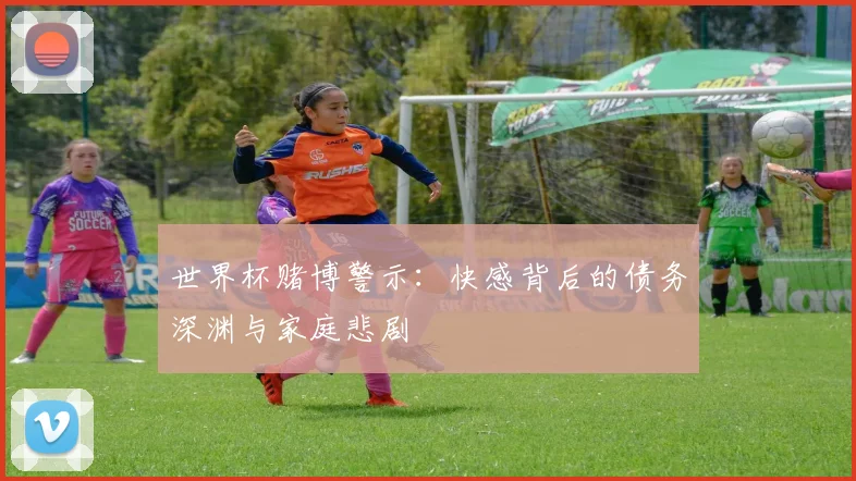 世界杯赌博警示:快感背后的债务深渊与家庭悲剧