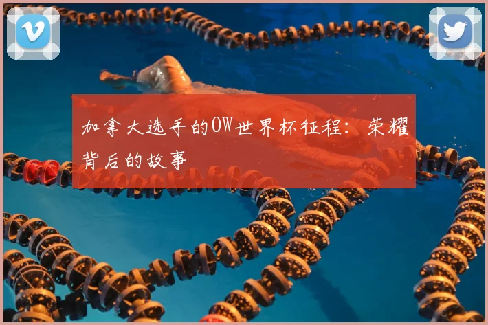 加拿大选手的OW世界杯征程：荣耀背后的故事