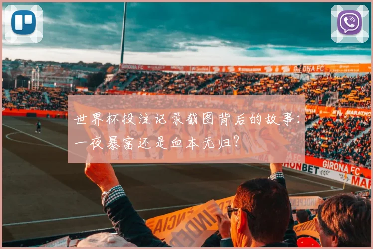 世界杯投注记录截图背后的故事:一夜暴富还是血本无归?
