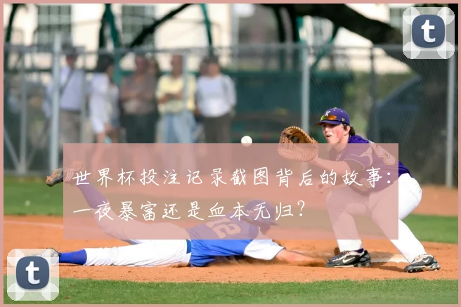 世界杯投注记录截图背后的故事:一夜暴富还是血本无归?
