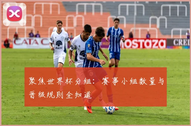 聚焦世界杯分组：赛事小组数量与晋级规则全知道