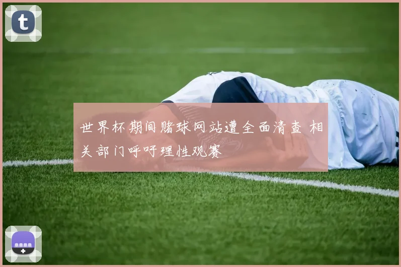 世界杯期间赌球网站遭全面清查 相关部门呼吁理性观赛