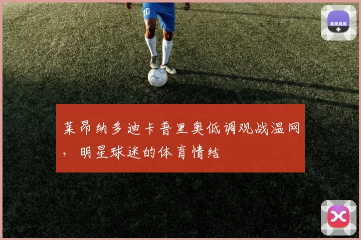 莱昂纳多迪卡普里奥低调观战温网,明星球迷的体育情结