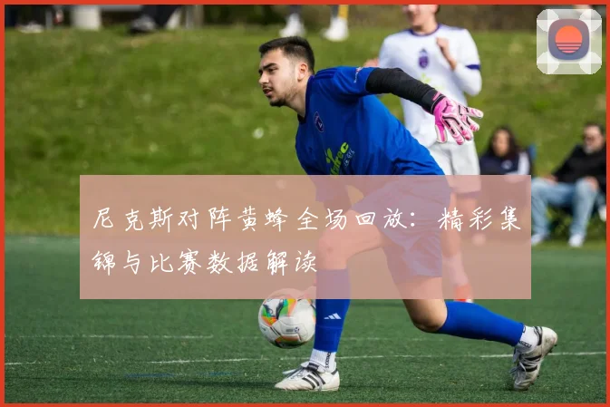 尼克斯对阵黄蜂全场回放：精彩集锦与比赛数据解读