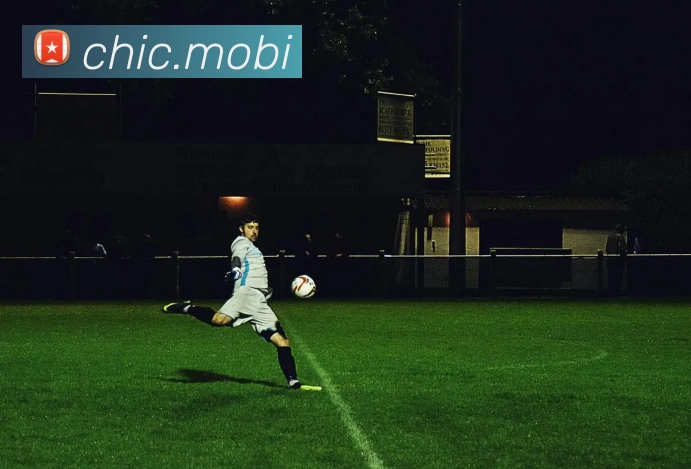 App Interface Preview