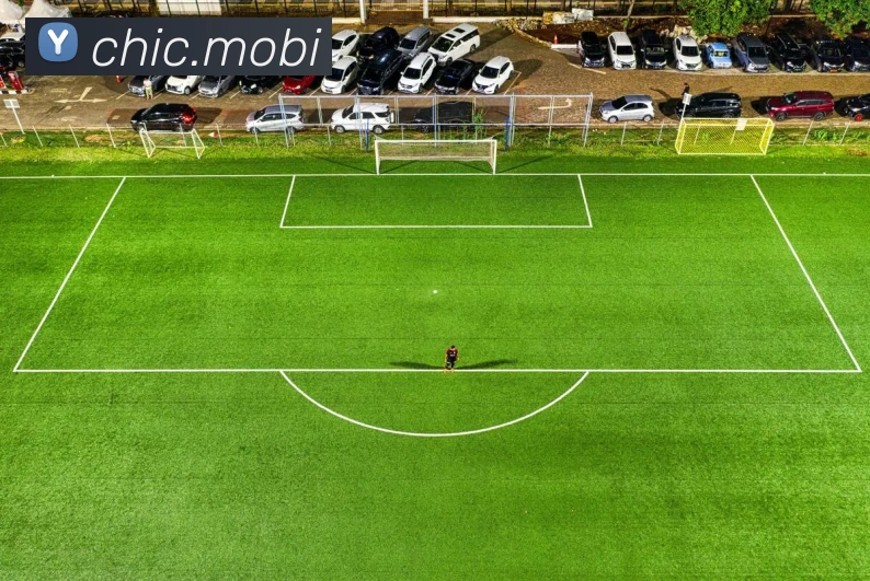 开云在线官方网站APP 封面图